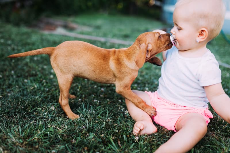 pet name lists