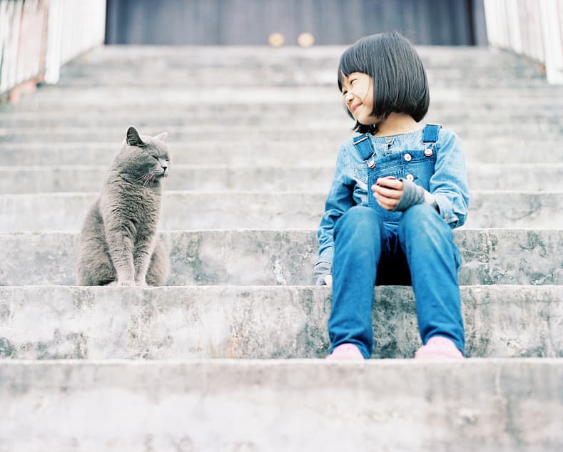 Cat Name Generator