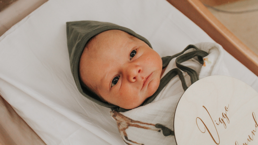 How I Named My Baby: Viggo Edmund