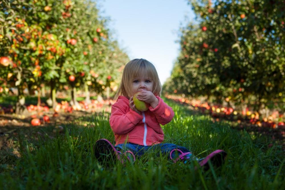 5897 Baby Names That Start With A (with Meanings and Popularity)