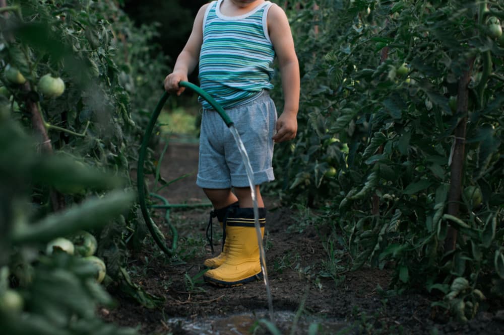 Taurus Names Embrace Earthiness