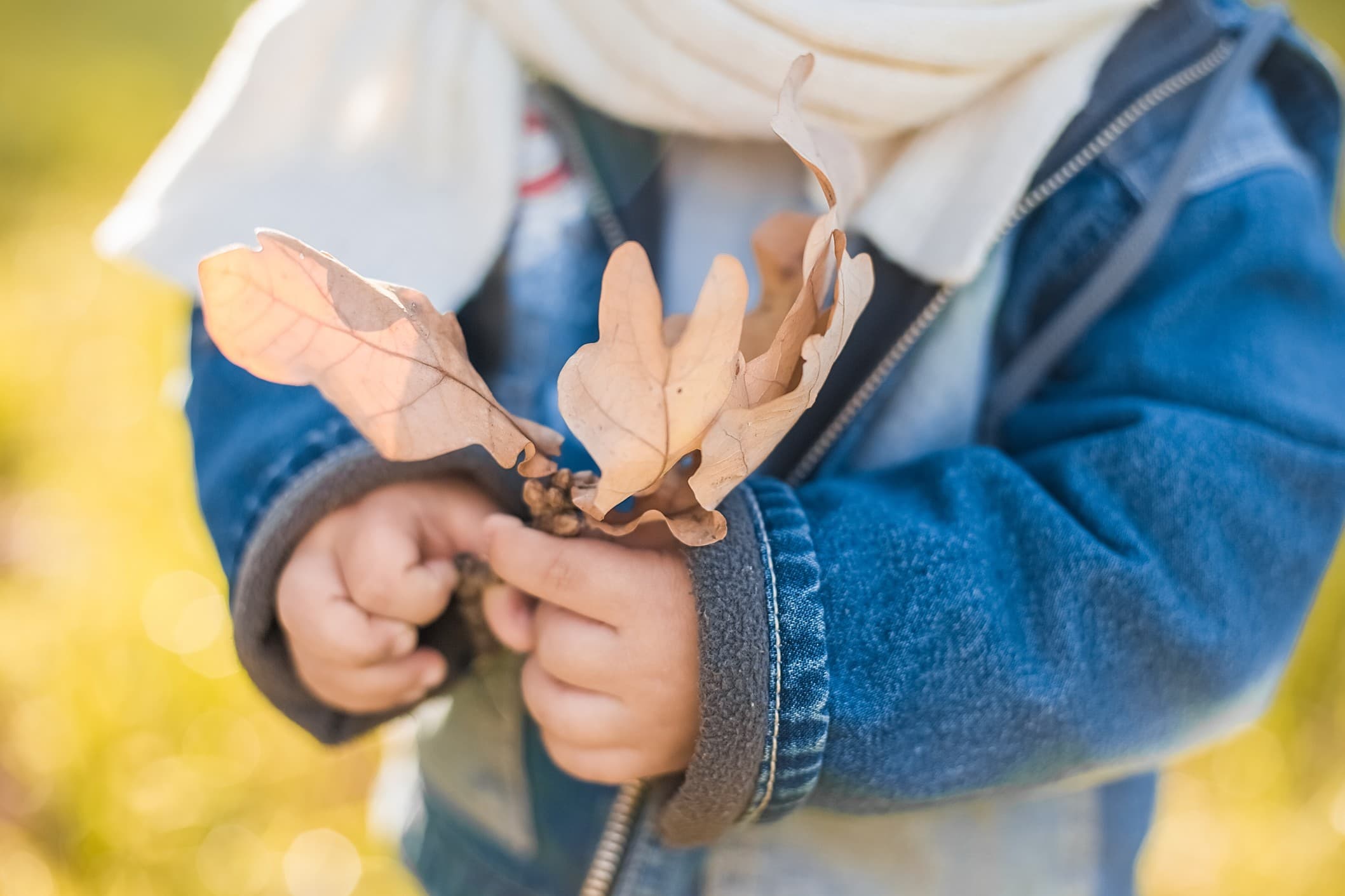 1103 Boy Names That Start With L (with Meanings and Popularity)