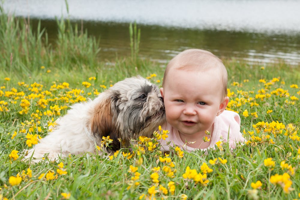 Dad’s Favorite Baby Name is Taken … by the Dog!