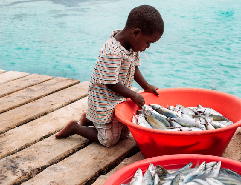 Cool Baby Names That Start With F