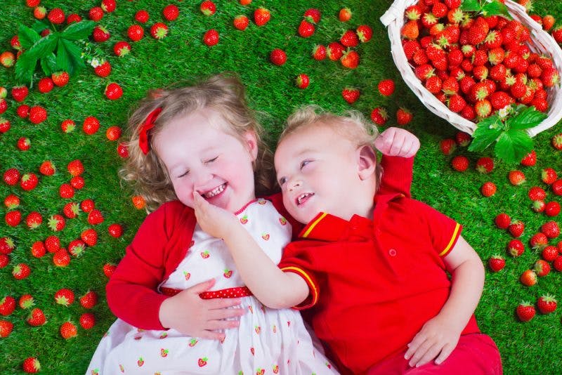 Berry Baby Names: Real-Life Choices of 2016