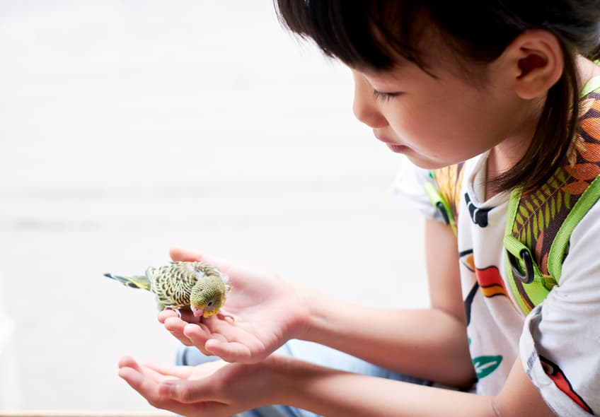 talk about pet names