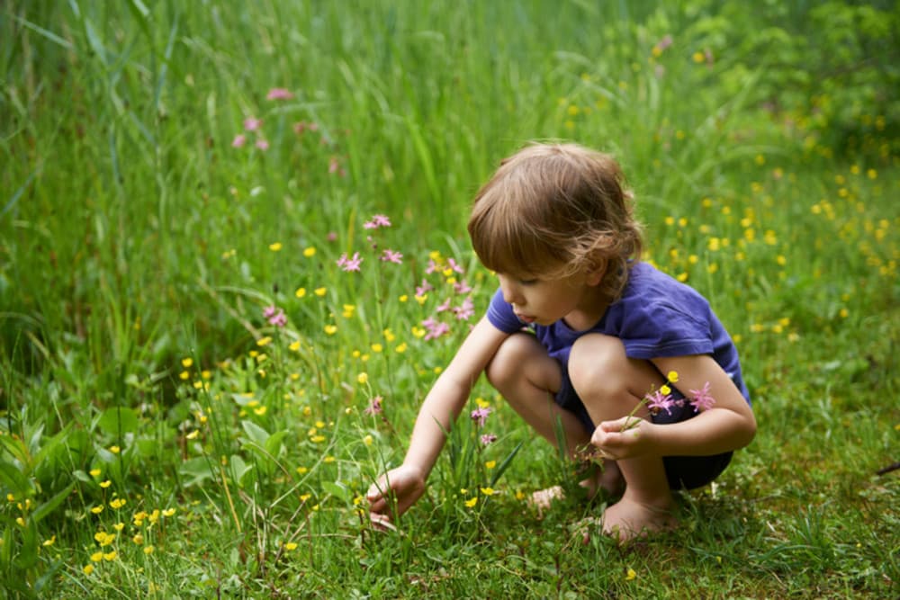 Names That Mean Life