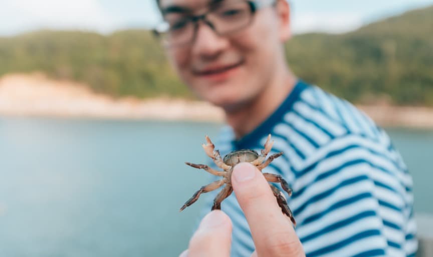 zodiac names cancer namer