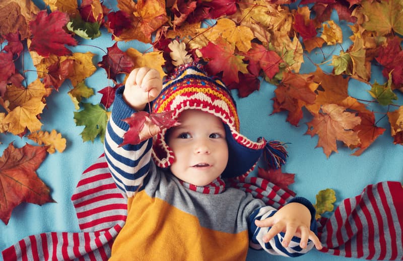 September Babyberries Are Bright and Cozy