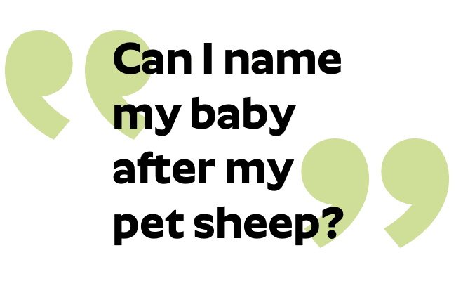 Let Us Name Your Baby