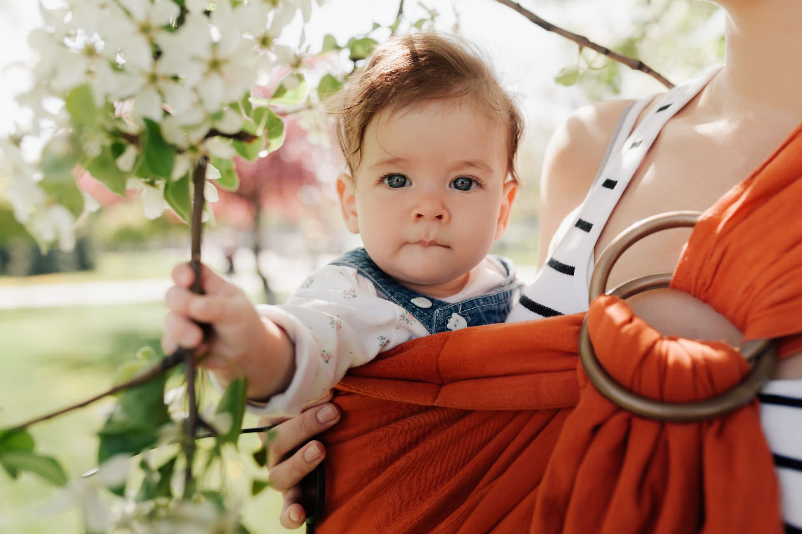 Flower Names for Boys Are Blooming