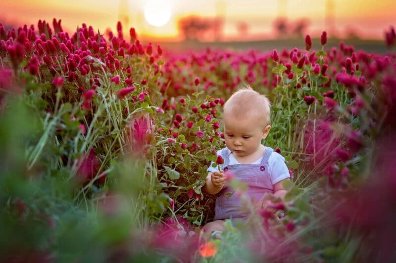 585+ Botanical Baby Names