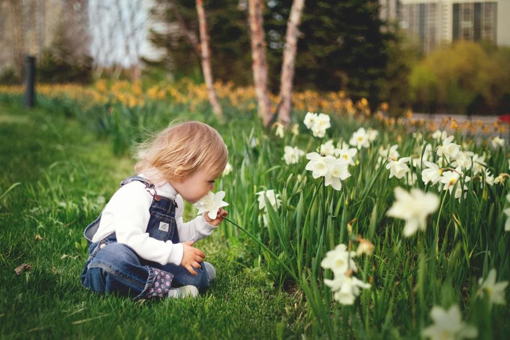 Welsh Names Celebrate St David’s Day