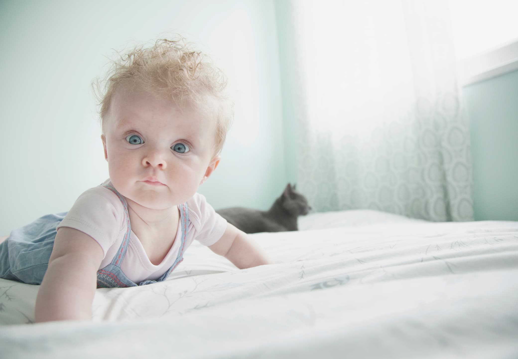 Name News: Awesome announcements from Aspen to Xenia