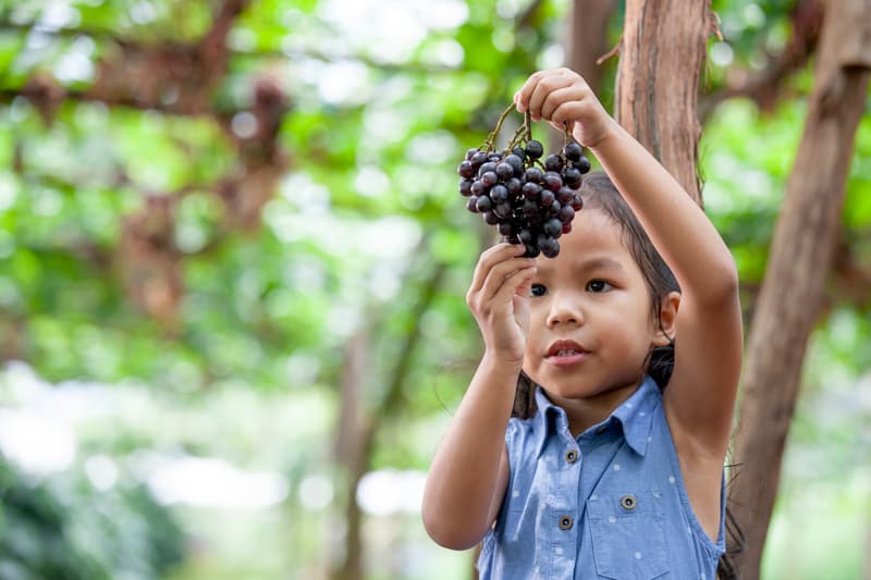 1110 Girl Names That Start With G (With Meanings and Popularity)