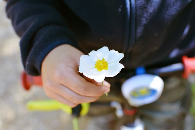 300 Unisex Names That Start With F (With Meanings and Popularity)