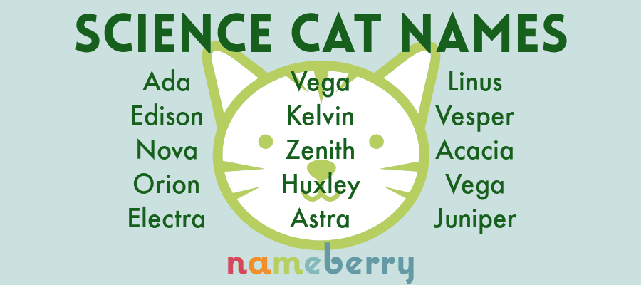 Science Cat Names