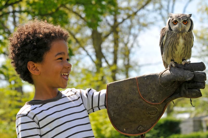 237 Unisex Names That Start With O (With Meanings and Popularity)