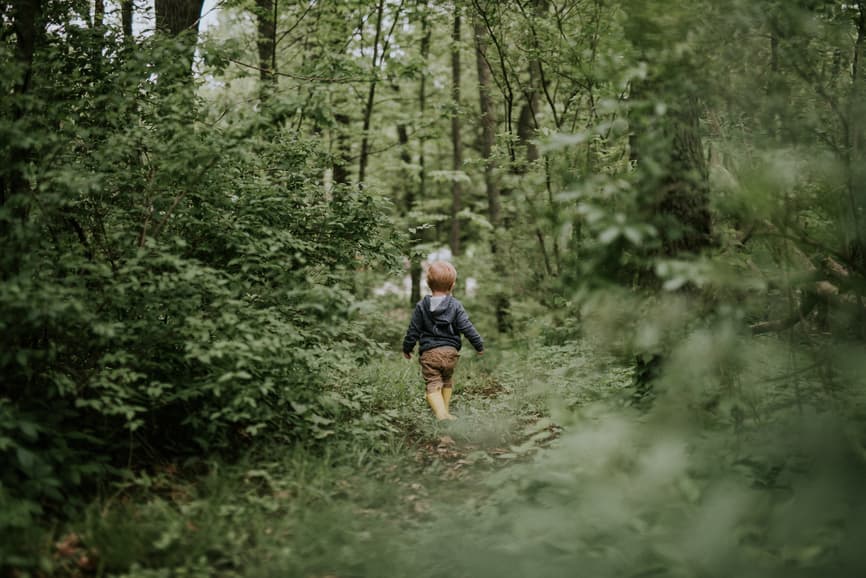 80+ Woodsy Names for Boys