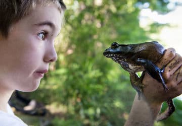 714 Boy Names That Start With F (with Meanings and Popularity)