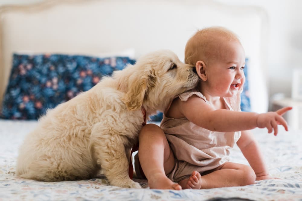 Top Dog Names 2022 Announced!