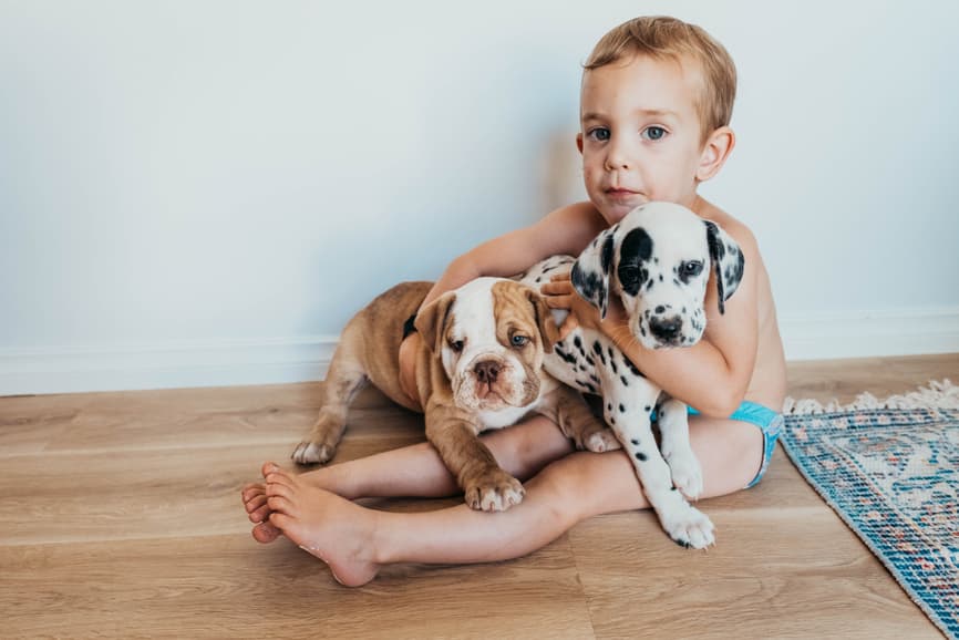 tips for naming your dog