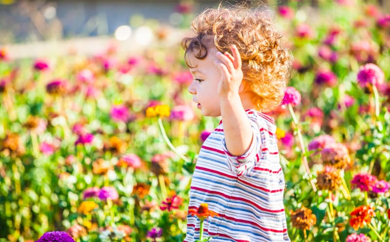 66 Fragrant Flower Names