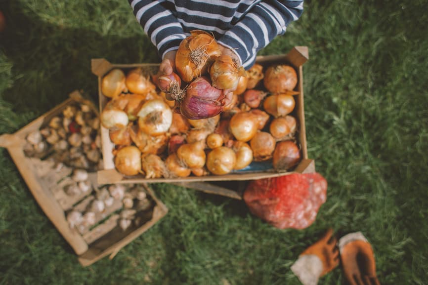 1086 Baby Names That Start With O (With Meanings and Popularity)