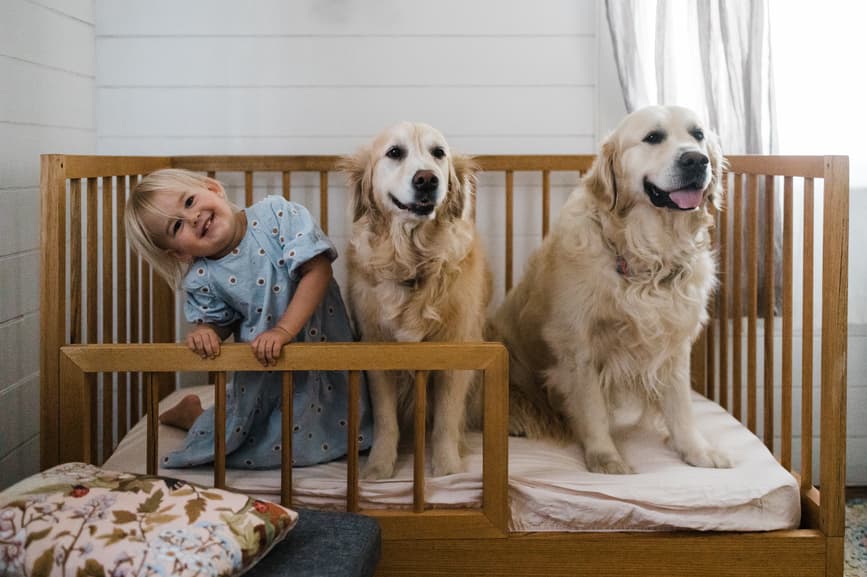 Top Dog Names 2020 Announced!