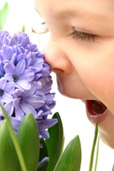 Flower Names: A floral bouquet of names for girls | Nameberry