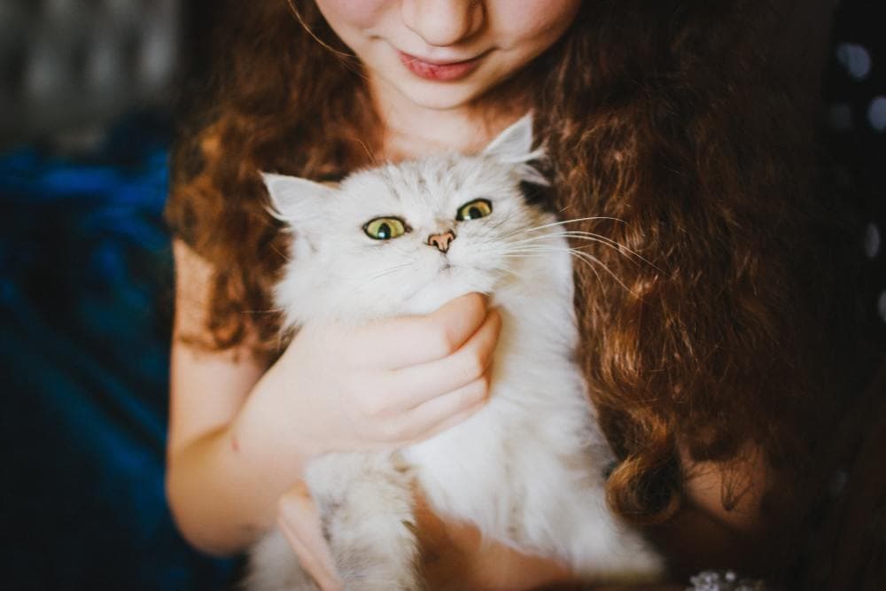 cat name generator